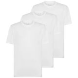 Anthony Jackson 3'lü Kutu Premium Erkek T-Shirt Starlight (AJ-303 A, XL)