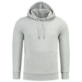 Anthony Jackson Erkek Kapüşonlu Sweatshirt, FLINT (GRİ MELANJ, 4XL)