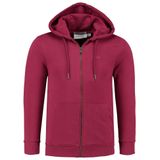 Anthony Jackson Erkek Kapüşonlu Sweatshirt ONYX (BORDO, XS)