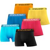 Anthony Jackson Likralı 6'lı Kutu Premium Erkek Boxer Color (BOSS, L)