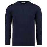 Anthony Jackson Premium Erkek Triko Kazak Tomasso (LACİVERT, L)