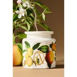 Anthropologie Apothecary 18 Kokulu Seramik Mum - Hasat Elma ve Vanilya