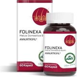 Anti Folinexa 60 Kapsül