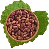 Antik Antep Fıstık İçi Çiğ (500 gr)