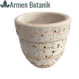 Antik Görünümlü Eskitme Toprak Saksı 12 cm x 12 cm