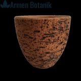 Antik Görünümlü Toprak Saksı 12x12 cm