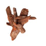 Antik Kuruyemiş 50 gr Kına Kına Kabuk