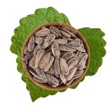 Antik Kuruyemiş 500 gr Tuzlu Siyah Ay Çekirdeği