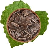 Antik Kuruyemiş Dekota Çekirdek Tuzsuz Kavrulmuş 500 G - 500 gr
