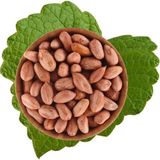 Antik Yer Fıstık İçi Çiğ (500 gr)