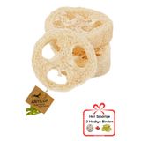 Antilop Doğal Kabak Lifi Oval (2) Iki Adet ( Bulaşık Lavabo Temzlik Hijyenik)