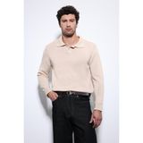 Antioch Bej Polo Yaka Basic Erkek Kazak - XL
