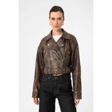 Antioch Kahve Kadın Suni Deri Crop Biker Ceket - XL