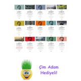 Anton Pavloviç Çehov 15 Kitap Seti + Çim Adam Hediye