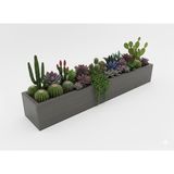 Antrasit Gri Ahşap Dekoratif Modern İnce Uzun Yatay Saksı 1 Metre | Modern Tasarım, 1 Metre Uzunluk, Yatay Saksı, Dekoratif, Ahşap Malzeme