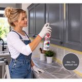 Antrasit Gri Sprey Boya Ral 7016 Akrilik Börfh 400 Ml (6024810)