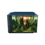 Anubias Corydoras 55 Nano Akvaryum Siyah 55,5X29,5X32 cm - 5 x 32 cm