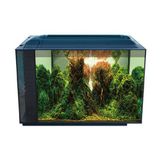 Anubias Corydoras 55 Nano Akvaryum Siyah 55,5X29,5X32 Cm
