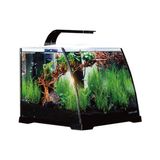 Anubias Ruby 30 Nano Akvaryum Siyah 30 x 29,8 x 25,7 Cm