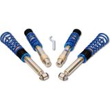 Ap Bmw E60 Coilover - 25–55 mm