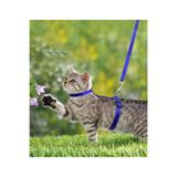 Apco Kedi Tasması Bel Göğüs Ayarlanabilir Tasma Renk stok durumuna göre