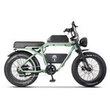 Ape Ryder Bonobo Premium Yeşil Elektrikli Bisiklet