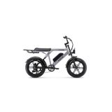 Ape Ryder Colobus Elektrikli Bisiklet 750w - Gri