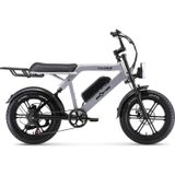 Ape Ryder Colobus Premium 750 W Elektrikli Bisiklet