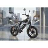 Ape Ryder Genon Ultra 750w Elektrikli Bisiklet Ayna Çanta Ve El Gazı Gri