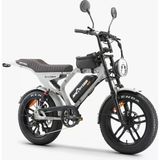 Ape Ryder Mandrill 1000 W Elektrikli Bisiklet Gri Ayna-Çanta-El Gazı Hediye