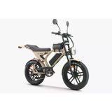 Ape Ryder Mandrill 1000 W Elektrikli Bisiklet