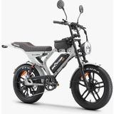 Ape Ryder Mandrill 1000 W Gri Elektrikli Bisiklet