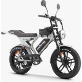 Ape Ryder Mandrıll 1000W Elektrikli Bisiklet Ayna Çanta ve El Gazı Hediyeli - Gri
