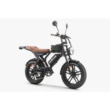 Ape Ryder Mandrıll 1000W Elektrikli Bisiklet Ayna Çanta Ve El Gazı Hediyeli