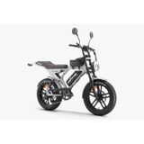 Ape Ryder Mandrıll Ultra 1000w Elektrikli Bisiklet Ayna Çanta Ve El Gazı Gri