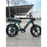 Ape Ryder Md10 250 W Yeşil İki Kişilik Elektrikli Bisiklet