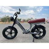 Ape Ryder MD10 750 W Gri Elektrikli Bisiklet