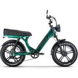 Ape Ryder MD10 Yeşil Elektrikli Bisiklet