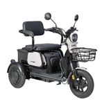 Apec APM2 Beyaz Metalik Üç Tekerlekli Elektrikli Moped