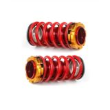 Apexi Honda Civic 2001 Coilover Ayarlı 2'li Arka 88 MM Spor Yay