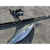 Apia Grandage Atlas Blue Runner 93HH+/JS 2.82 m Plug 100-120 gr Shore Jig Kamış