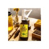 Apimed Propolis Oral Sprey 20 Ml Bitkisel Yağ Karışımlı, Bal, Kekik, Nane Ve Karanfil Yağlı Takviye Edici