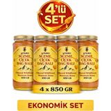 Apimed Süzme Çiçek Dağ Balı 4’Lü Ekonomik Set 4×850 Gr | Bitlis Hizan Doğal Bal
