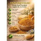 APİMED Taze Yaş Polen 1kg | Katkısız Doğal Arı Poleni | Zengin Besin Değerleri