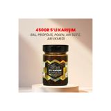 APİTÜRK 5'li Karışım 450gr (Bal, Propolis, Polen Arı Sütü, Arı Ekmeği)