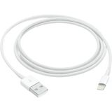 Apple Lightning To Usb 1.0 Mt Cable Mxly2zm/A - Outlet Vitrin