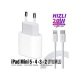 Apple Uyumlu iPad Mini 5 Mini 4 Mini 3 - 2 Tablet 20w Hızlı Şarj Aleti Adaptörü 20w Ligtning Şarj Kablosu