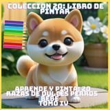 APRENDE Y PINTA: 20 RAZAS DE DULCES PERROS BEBE TOMO IV (COLECCION 20: LIBRO DE PINTAR)