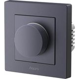 Aqara Akıllı Dimmer Switch H2 Kd-R01d-G Gri (Apple Home Destekli)