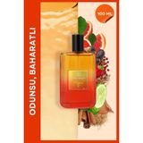 Aqua Di Polo 1987 Gran Paradiso Volcano EDP Erkek Parfüm 100 ml | Odunsu, Baharatlı | Biber, Greyfurt, Safran